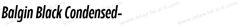 Balgin Black Condensed字体转换